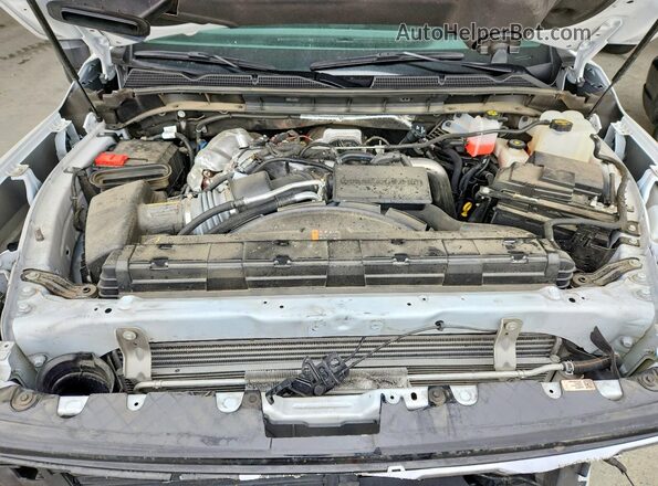 1GT19XEY8RF410685 2024 GMC SIERRA Белый Вид задней части салона