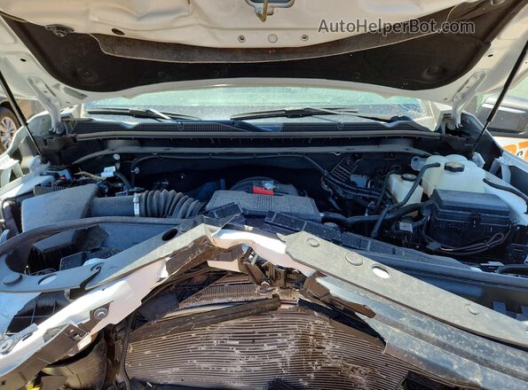 1GT39LE76RF124665 2024 GMC SIERRA White Widok wnętrza z tyłu