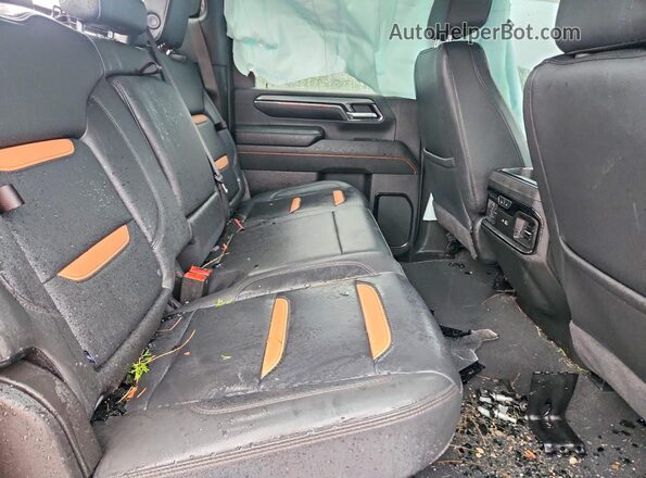 1GT49PEY9RF422356 2024 GMC SIERRA Gray Widok tylnych siedzeń