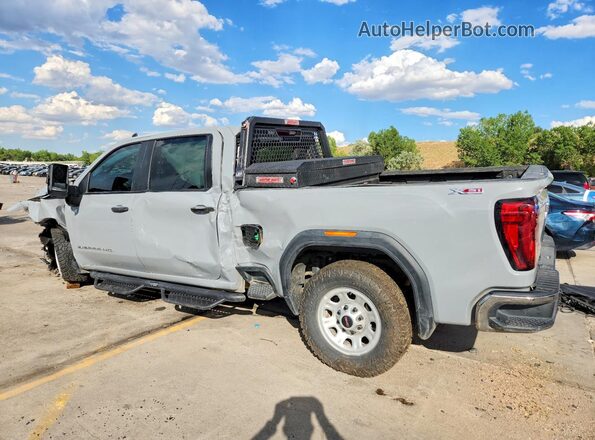 1GT49SEY3RF459843 2024 GMC SIERRA Gray Tył lewy