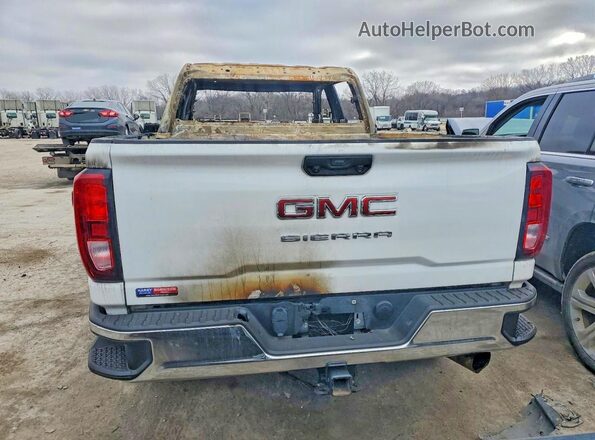 1GT4ULEY0SF239859 2025 GMC SIERRA White Widok z tyłu