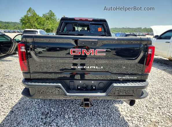 1GT4UREY4SF193049 2025 GMC SIERRA Черный Вид сзади