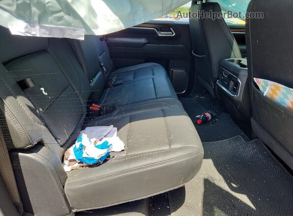 1GT4UREY4SF193049 2025 GMC SIERRA Черный Вид задних сидений