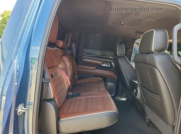 1GT4UXEY0SF273615 2025 GMC SIERRA Blue Rear seats view