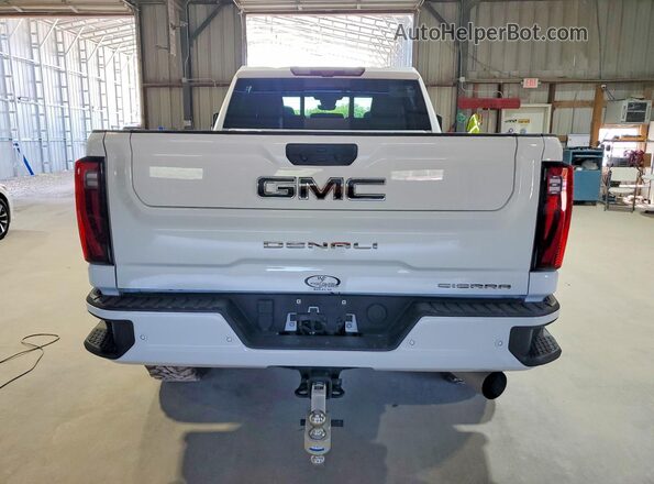 1GT4UXEY0SF289121 2025 GMC SIERRA Белый Вид сзади