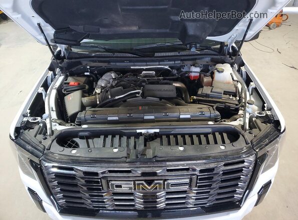 1GT4UXEY0SF289121 2025 GMC SIERRA Белый Вид задней части салона