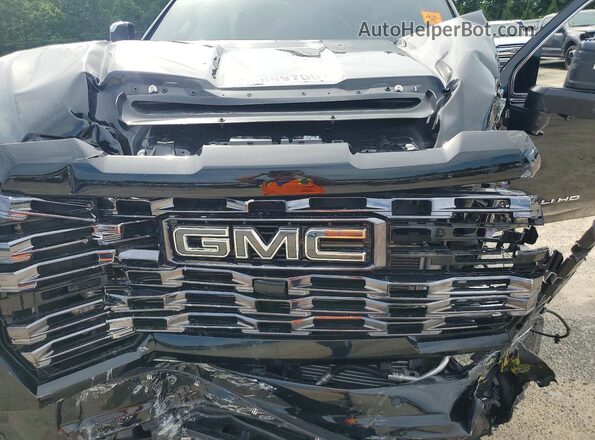 1GT4UYEY2SF234157 2025 GMC SIERRA Black Вид задньої частини салону