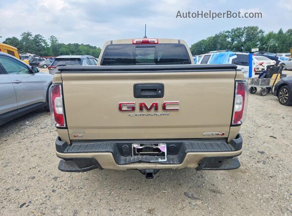 1GTG6FEN6N1291089 2022 GMC CANYON Beige Հետևի տեսք