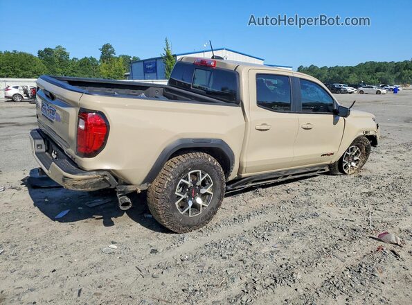 1GTP6EEK3R1129197 2024 GMC CANYON Gray უკანა მარჯვენა