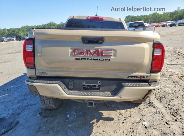 1GTP6EEK3R1129197 2024 GMC CANYON Gray უკანა ხედი