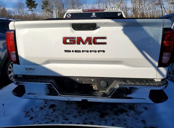 1GTR9AEK3LZ309636 2020 GMC SIERRA Белый Вид сзади