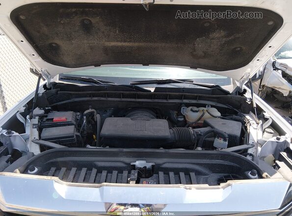 1GTUUDED4SZ260621 2025 GMC SIERRA White Widok z tyłu