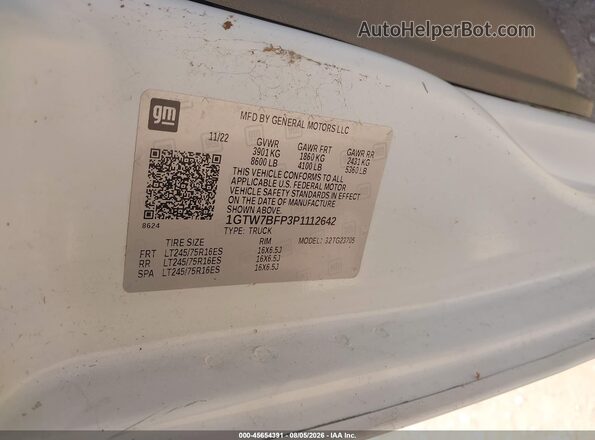 1GTW7BFP3P1112642 2023 GMC SAVANA CARGO White Widok komory silnika