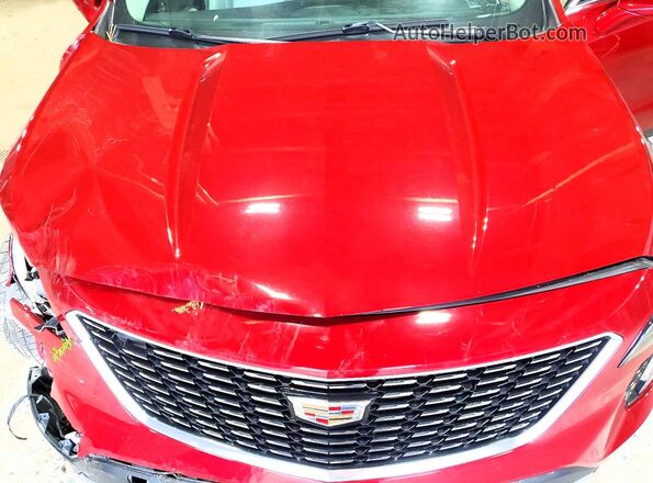 1GYFZDR40KF229009 2019 CADILLAC XT4 Burgundy Vista del compartimento del motor