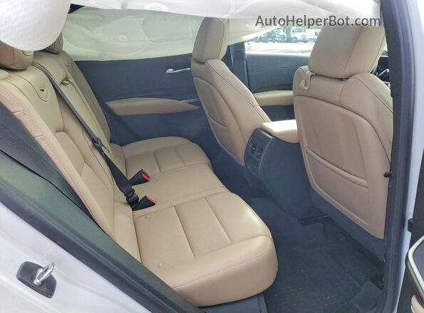1GYFZDR41RF100139 2024 CADILLAC XT4 Белый Вид задней части салона