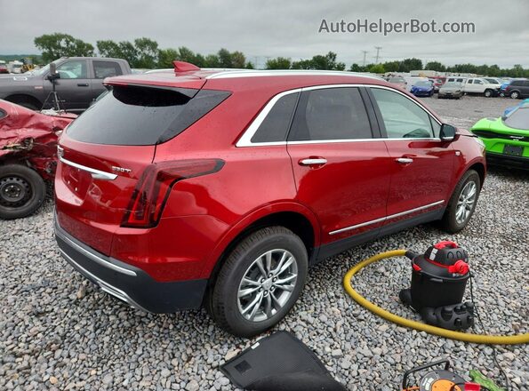 1GYKNDR46PZ113359 2023 CADILLAC XT5 Red Հետևի աջ
