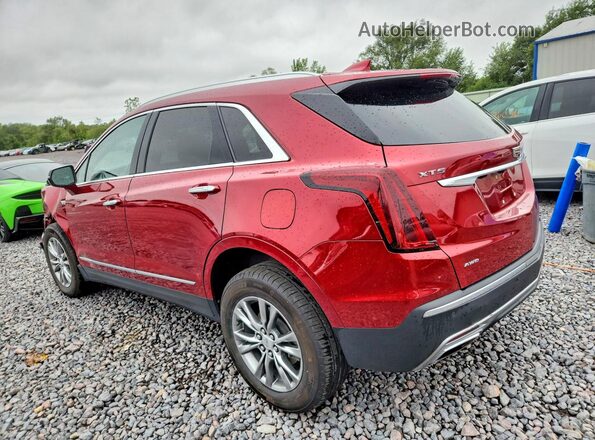 1GYKNDR46PZ113359 2023 CADILLAC XT5 Red Հետևի ձախ