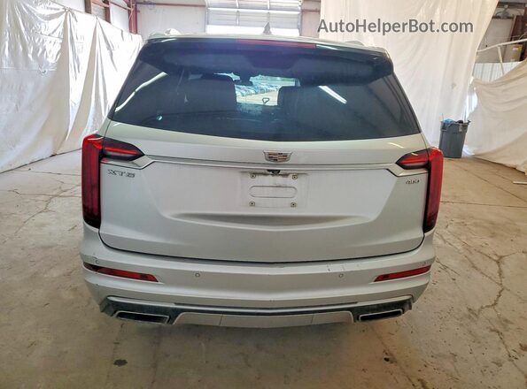 1GYKPCRSXLZ100613 2020 CADILLAC XT6 Silver Widok z tyłu