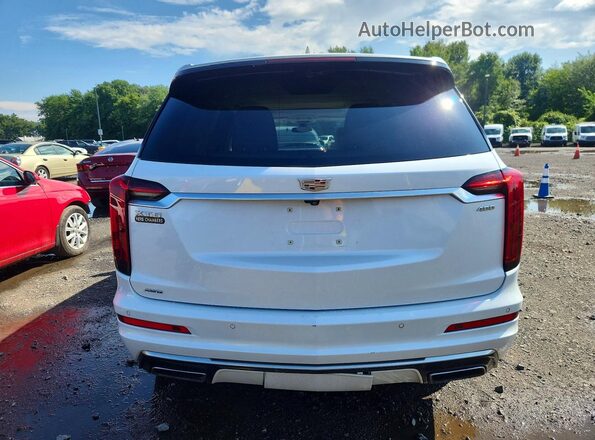 1GYKPDRS6MZ153865 2021 CADILLAC XT6 Белый Вид сзади
