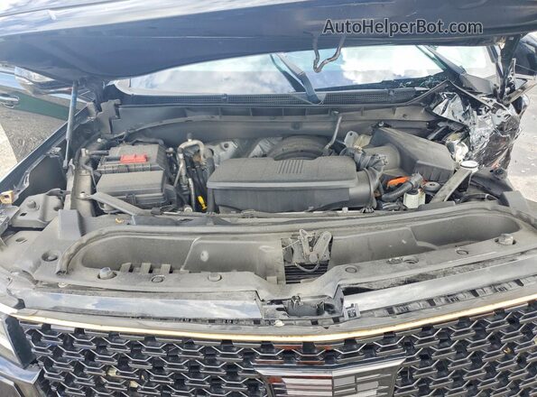 1GYS3AKL1PR436823 2023 CADILLAC ESCALADE Black უკანა სალონის ხედი