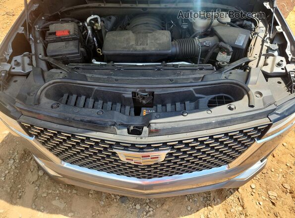1GYS3BKL3MR310089 2021 CADILLAC ESCALADE Gray Սալոնի հետևի տեսք