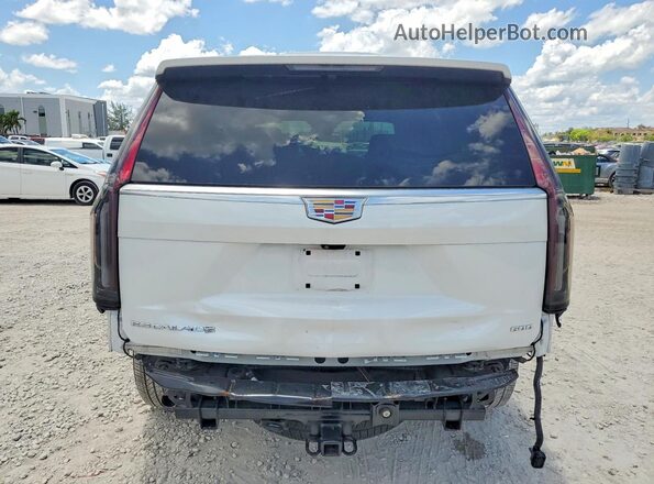 1GYS3BKL8RR342219 2024 CADILLAC ESCALADE White Widok z tyłu