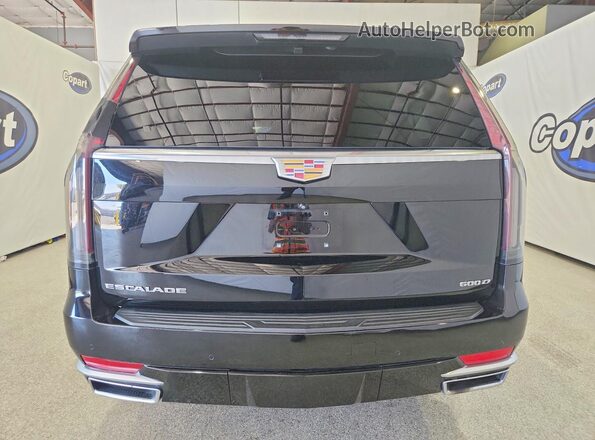 1GYS3JKT6PR439149 2023 CADILLAC ESCALADE Black Widok z tyłu