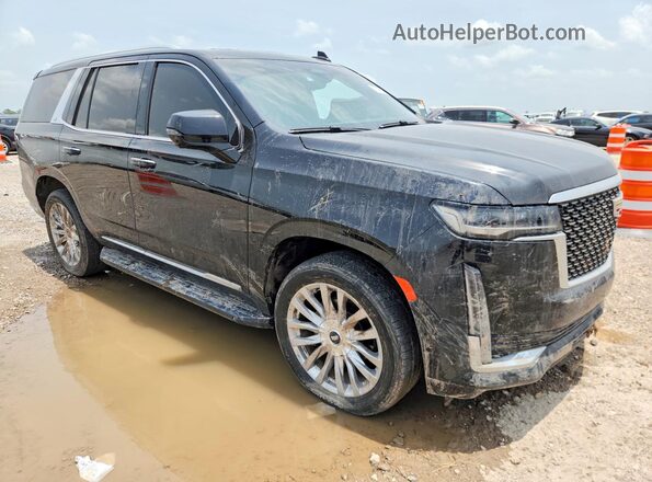 1GYS4BKLXPR157678 2023 CADILLAC ESCALADE Black Front right