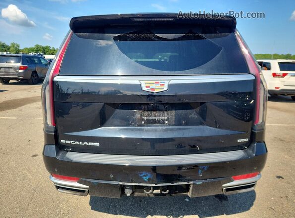 1GYS4BKLXPR368119 2023 CADILLAC ESCALADE Black Widok z tyłu