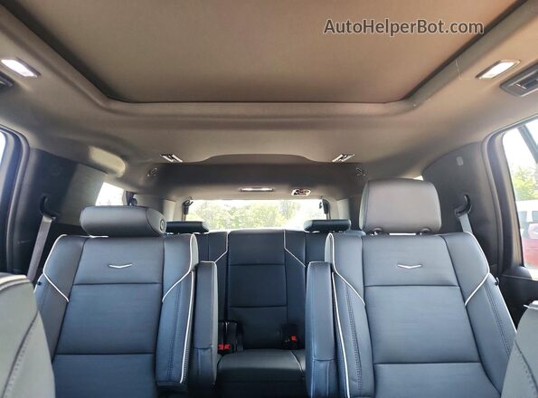 1GYS4BKLXPR368119 2023 CADILLAC ESCALADE Black Widok tylnych siedzeń