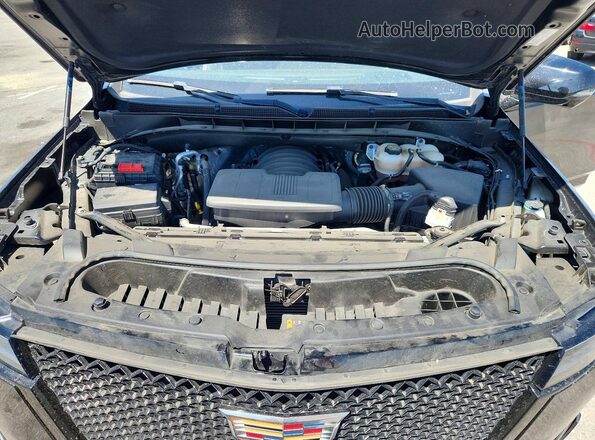 1GYS4EKL5PR545158 2023 CADILLAC ESCALADE Черный Вид задней части салона