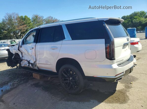 1GYS9BRL0SR386273 2025 CADILLAC ESCALADE White Tył lewy
