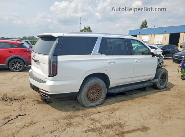1GYS9BRL3SR102909 2025 CADILLAC ESCALADE Белый Задняя правая четверть