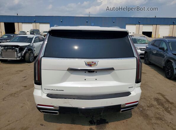 1GYS9BRL3SR102909 2025 CADILLAC ESCALADE Белый Вид сзади