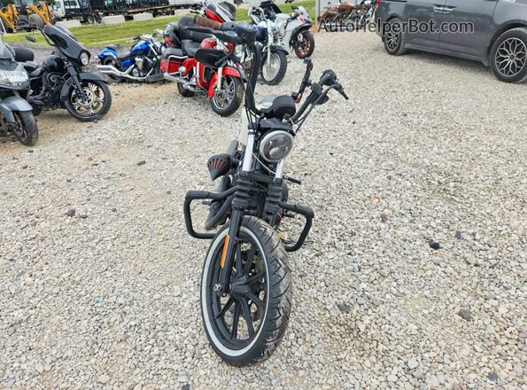 1HD1LP315KC406509 2019 HARLEY-DAVIDSON XL1200 White Задня ліва чверть
