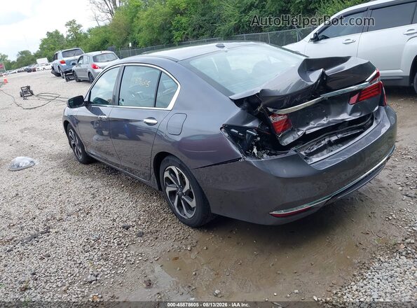 1HGCR2F03HA146499 2017 HONDA ACCORD Серый Задняя левая четверть