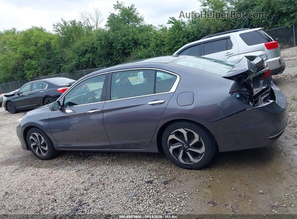 1HGCR2F03HA146499 2017 HONDA ACCORD Серый Панорамный вид салона 360°