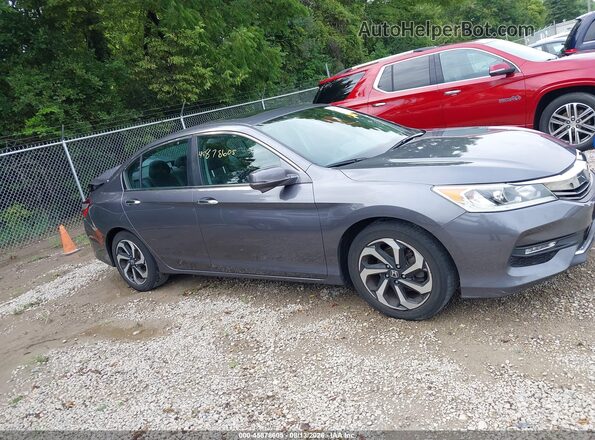 1HGCR2F03HA146499 2017 HONDA ACCORD Серый Вид задней части салона