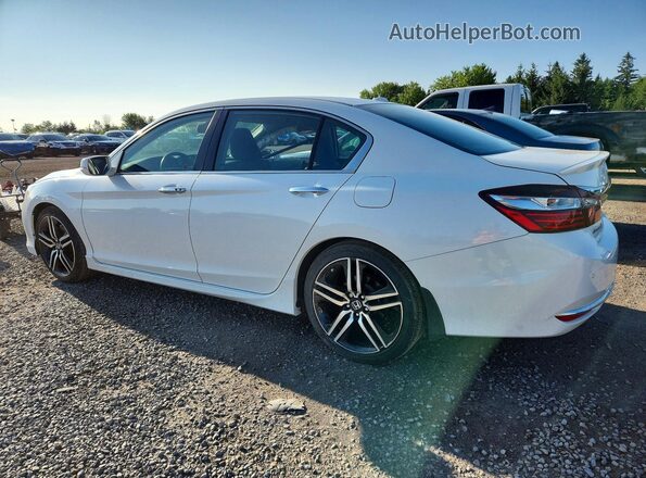 1HGCR2F09HA807713 2017 HONDA ACCORD White Tył lewy