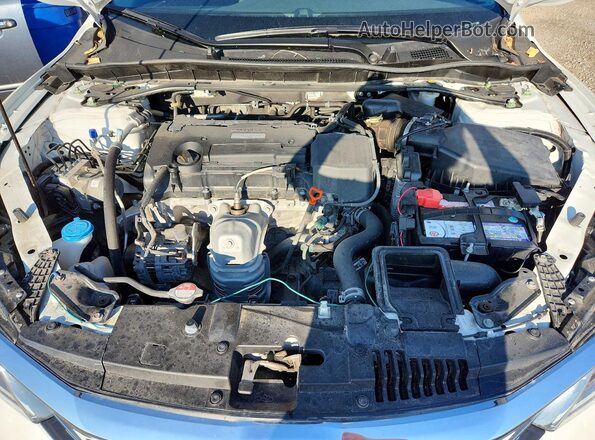 1HGCR2F09HA807713 2017 HONDA ACCORD White Widok wnętrza z tyłu