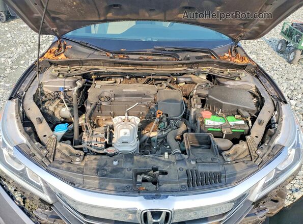 1HGCR2F0XHA023637 2017 HONDA ACCORD Gray Widok wnętrza z tyłu