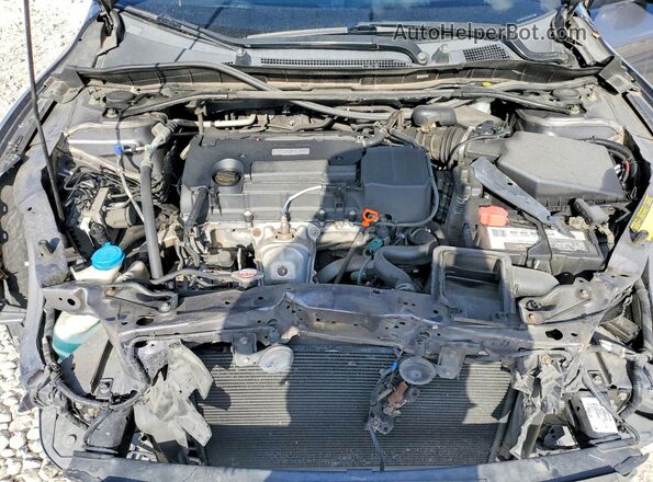 1HGCR2F11HA188761 2017 HONDA ACCORD Серый Вид задней части салона