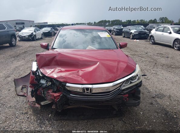 1HGCR2F15HA234981 2017 HONDA ACCORD Красный Вид задней части салона