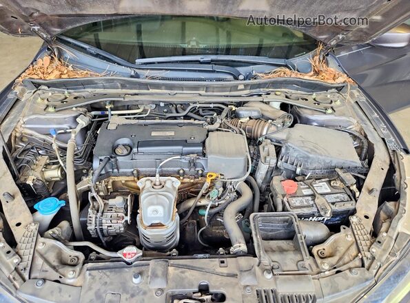 1HGCR2F17HA191034 2017 HONDA ACCORD Gray Սալոնի հետևի տեսք