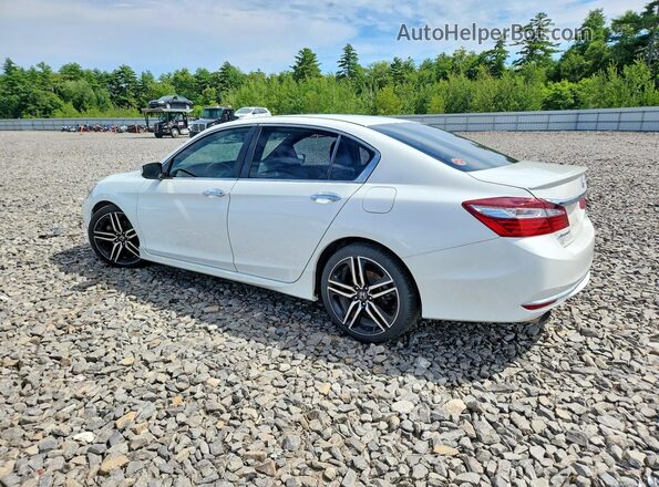 1HGCR2F18HA037593 2017 HONDA ACCORD White Tył lewy