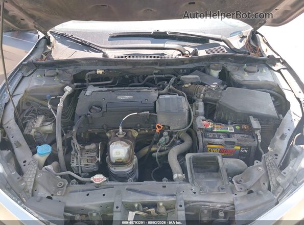 1HGCR2F31HA226331 2017 HONDA ACCORD Gray Widok z tyłu