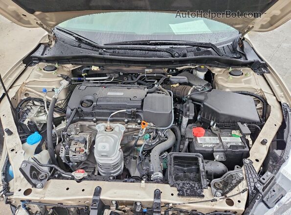 1HGCR2F32HA307080 2017 HONDA ACCORD Cream Vista interior trasera