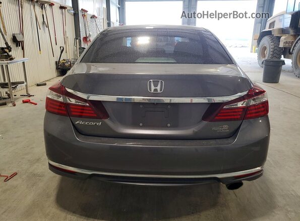 1HGCR2F33HA114971 2017 HONDA ACCORD Gray Widok z tyłu