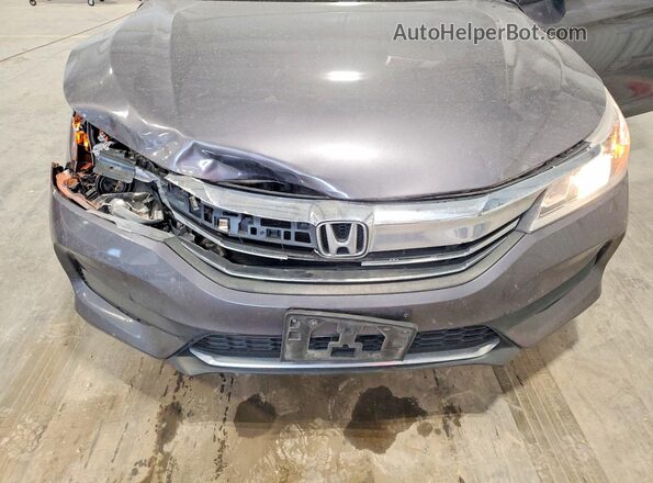 1HGCR2F33HA114971 2017 HONDA ACCORD Gray Widok wnętrza z tyłu