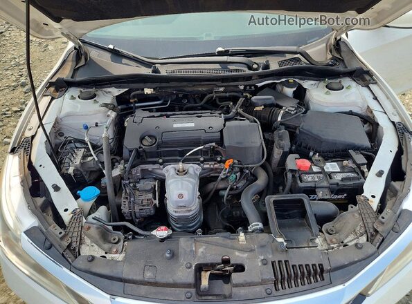 1HGCR2F37GA208902 2016 HONDA ACCORD Белый Вид задней части салона